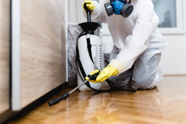 Best Bed Bug Extermination  in Charlotte, TX