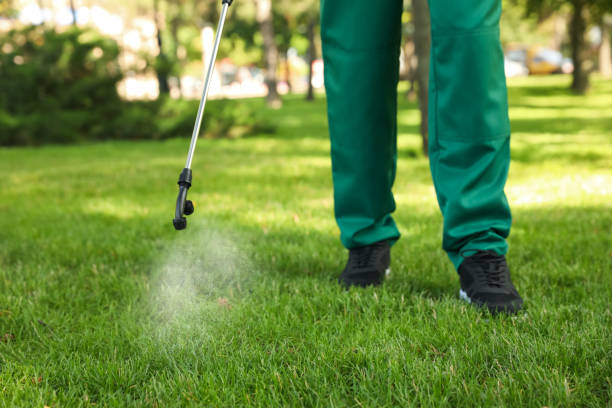 Best Wasp Removal Services  in Charlotte, TX