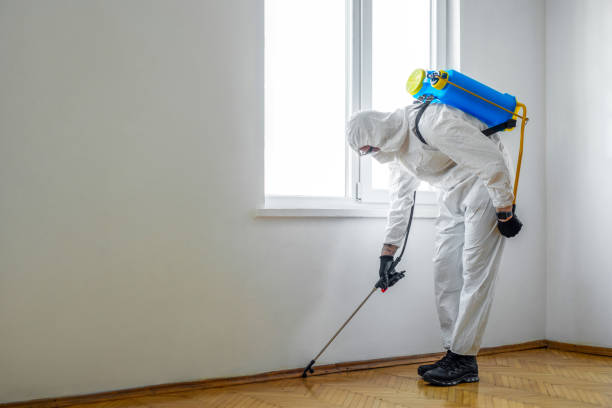 Professional Pest Control in Charlotte, TX