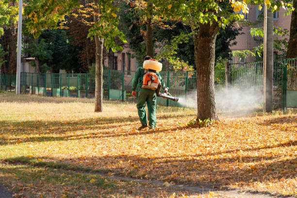Best Residential Pest Control  in Charlotte, TX