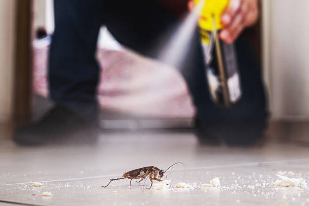 Best Pest Inspection Near Me  in Charlotte, TX