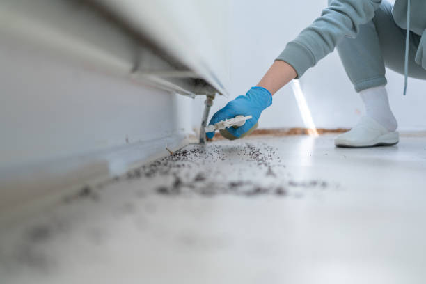 Pest Control Cost in Charlotte, TX